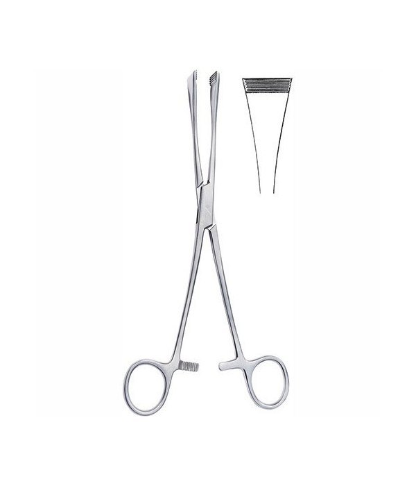 Green Army age Forceps